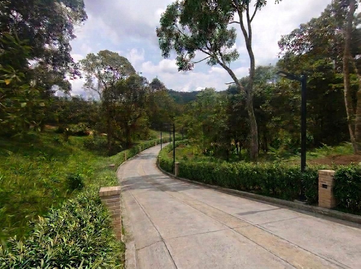 Proyección del paisajismo de las vías